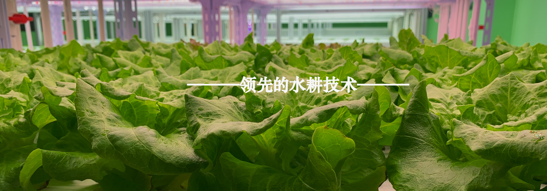 &#36125;&#21338;&#23089;&#20048;&#45;&#36125;&#21338;&#23089;&#20048;&#40;&#20013;&#22269;&#41;